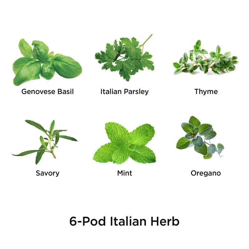 Italian Herbs Seed Pod Kit image number null